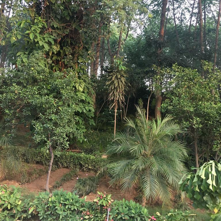 Villa At Tarudhan Valley Golf Resort Manesar Buitenkant foto